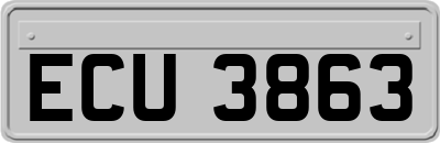 ECU3863