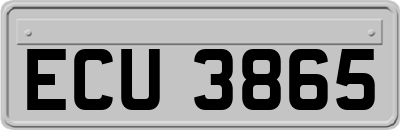 ECU3865