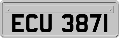 ECU3871