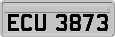 ECU3873