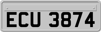 ECU3874