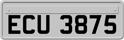 ECU3875