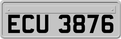 ECU3876