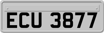 ECU3877
