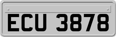 ECU3878