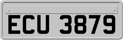 ECU3879