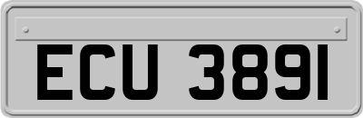 ECU3891