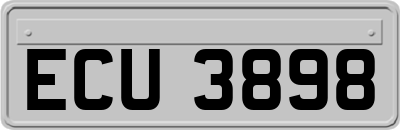 ECU3898