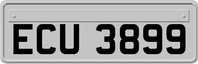 ECU3899