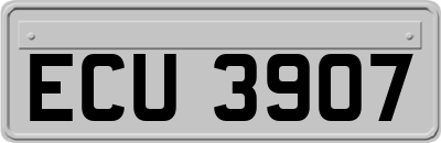 ECU3907