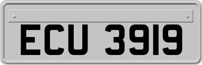 ECU3919
