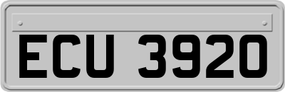 ECU3920