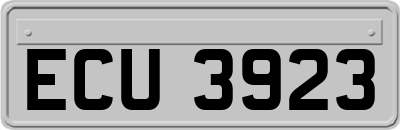 ECU3923