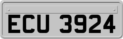 ECU3924