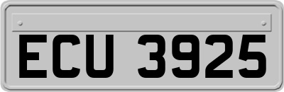 ECU3925
