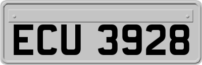 ECU3928