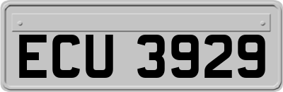 ECU3929