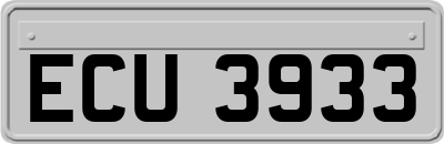ECU3933