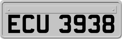 ECU3938