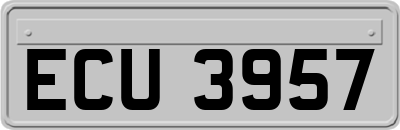 ECU3957