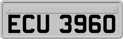 ECU3960