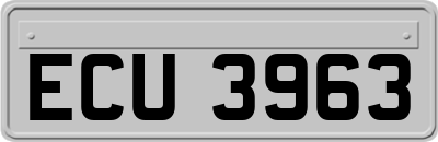 ECU3963