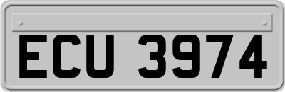 ECU3974