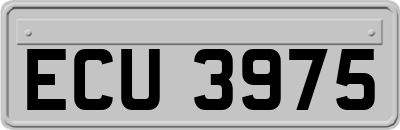 ECU3975