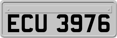 ECU3976