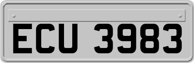 ECU3983