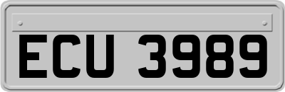 ECU3989