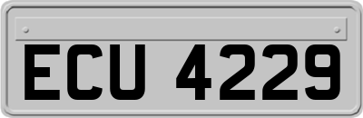 ECU4229