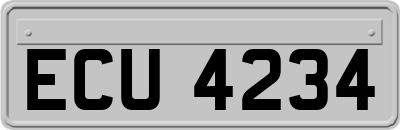 ECU4234