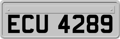 ECU4289