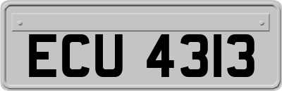 ECU4313