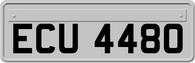 ECU4480