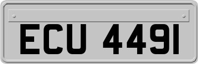 ECU4491