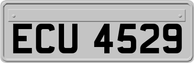 ECU4529