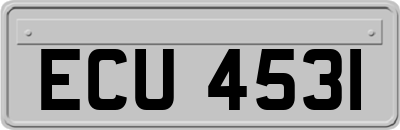 ECU4531