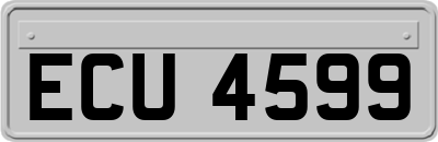 ECU4599