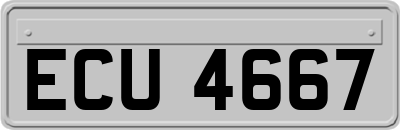 ECU4667