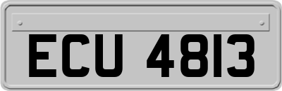 ECU4813
