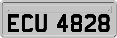 ECU4828