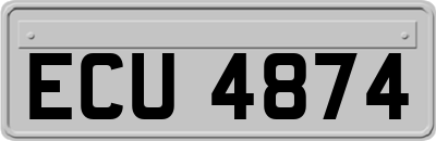 ECU4874
