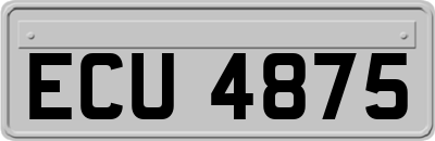 ECU4875