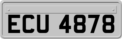 ECU4878