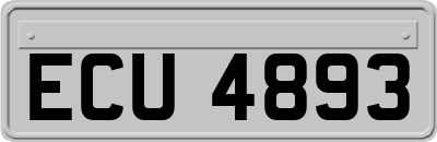 ECU4893