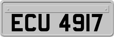 ECU4917