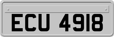 ECU4918