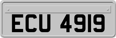 ECU4919